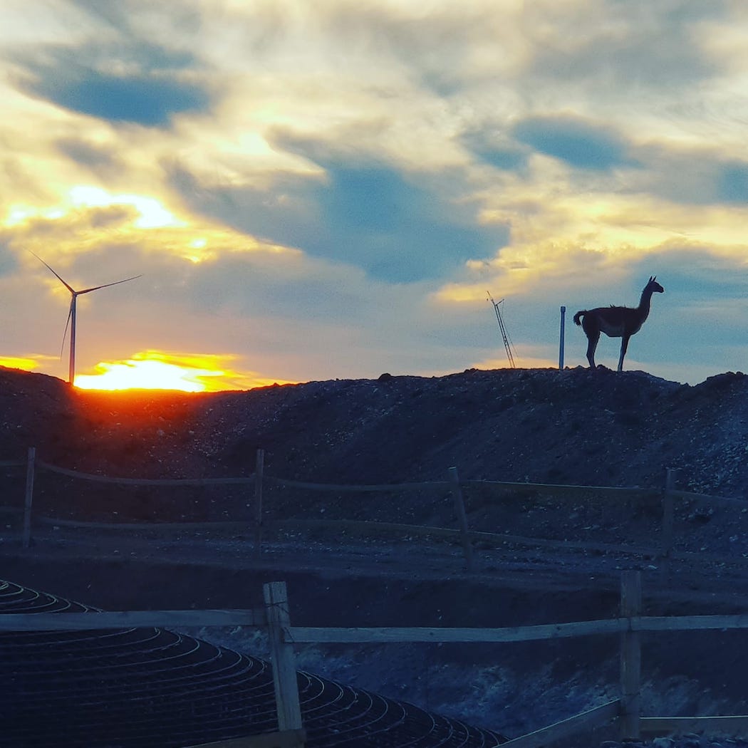 Paisaje en el parque eólico de Los Hércules - Tecnorenova
